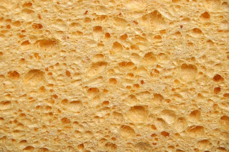 La trypophobie ; ou la peur des éponges